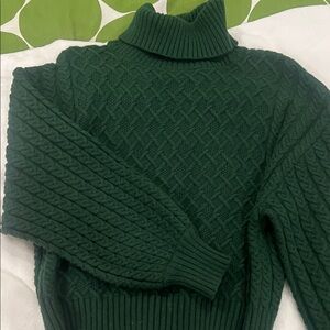 Green Cable Knit Turtleneck Tahari Sweater